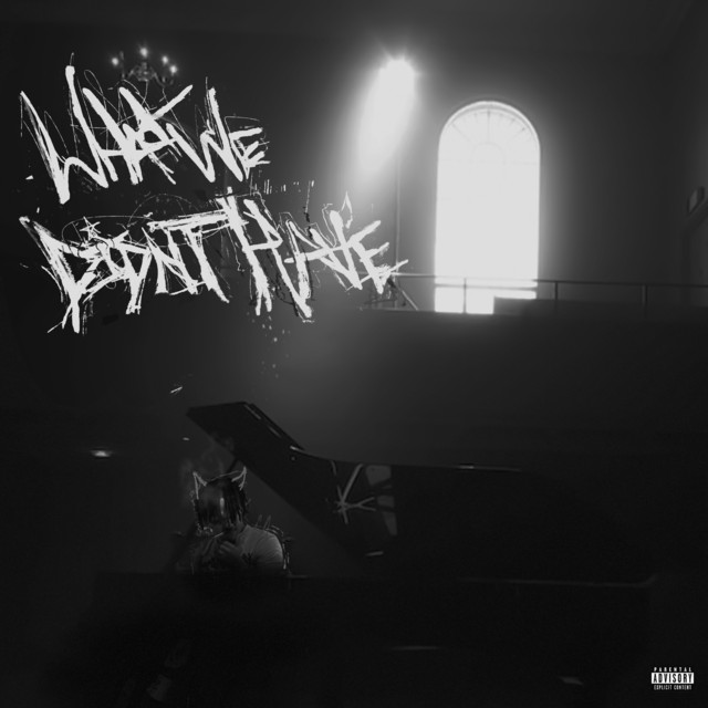 'What We Didn't Have' cover art