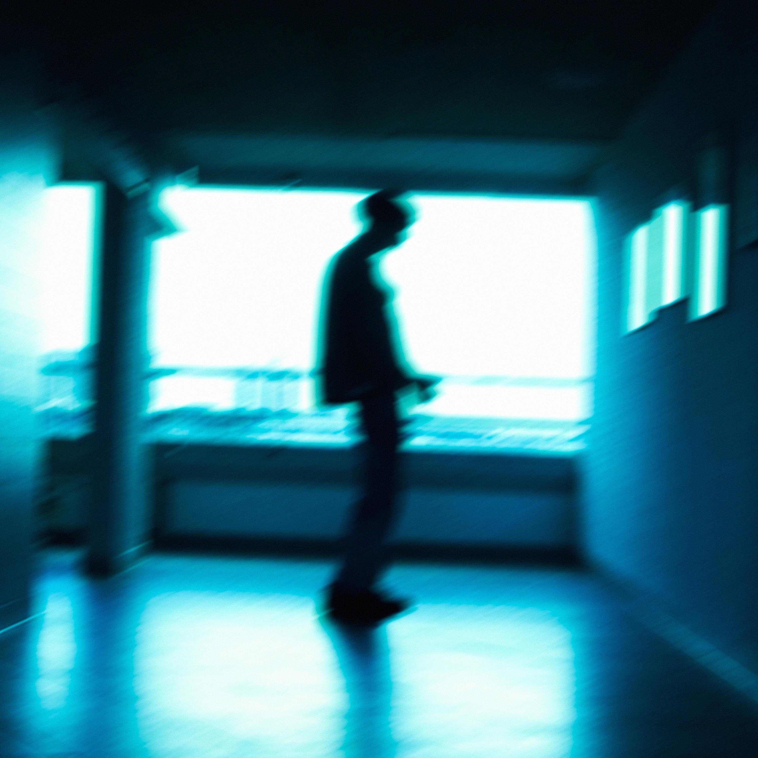Fly cover art