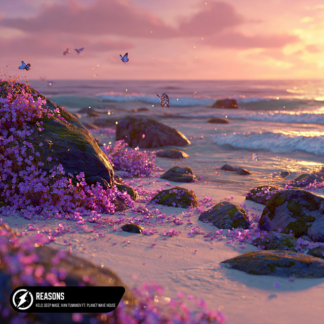 'Reasons' cover art