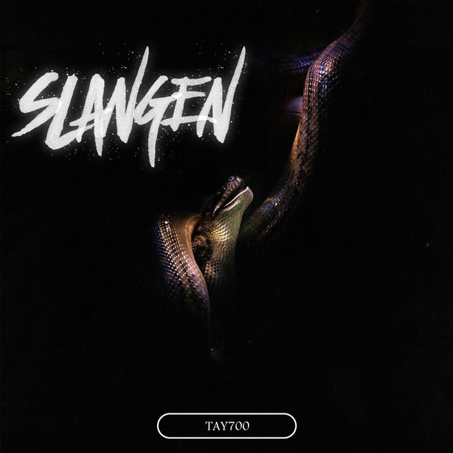 'SLANGEN' cover art