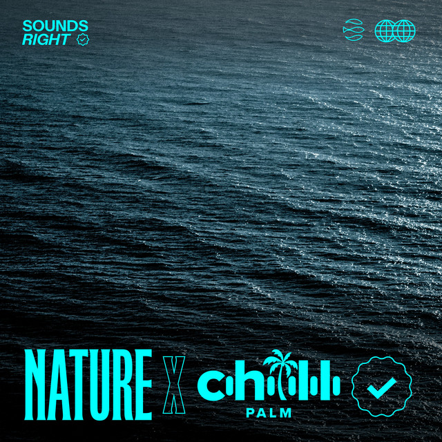 'Oceanic Waves' cover art