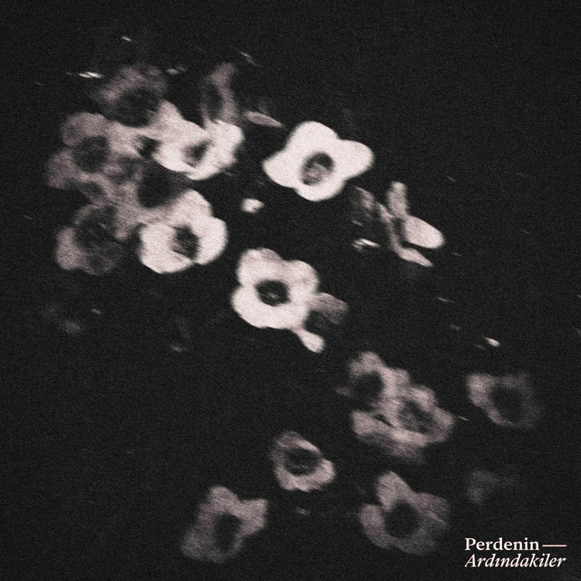 'Gönlüme Hükmedemem' cover art
