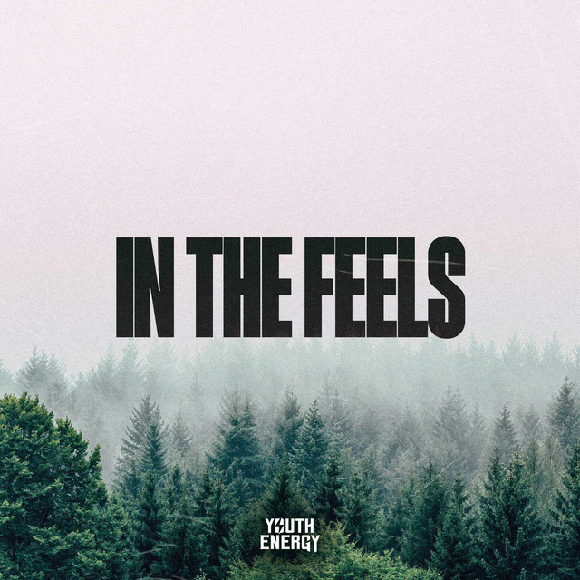 'In the Feels' cover art