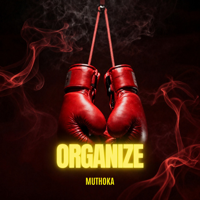 'ORGANIZE' cover art