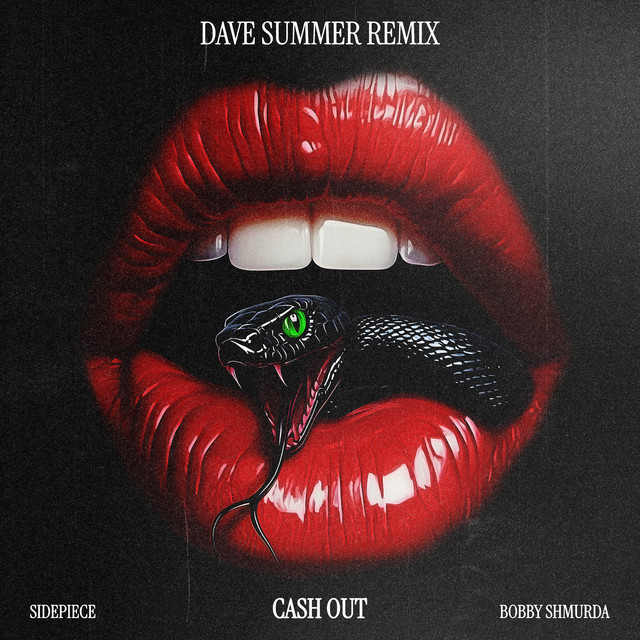 'Cash Out (Dave Summer Remix)' cover art