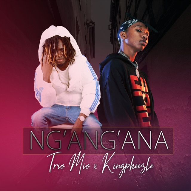 'Ng'ang'ana' cover art