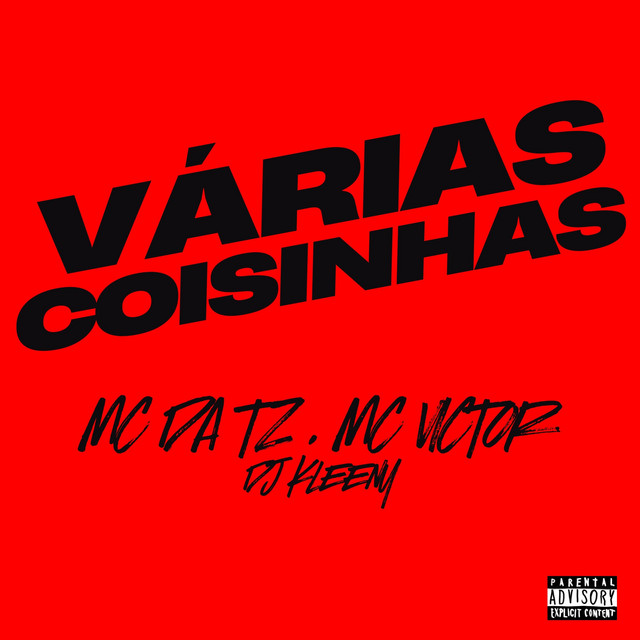 'VÁRIAS COISINHAS' cover art