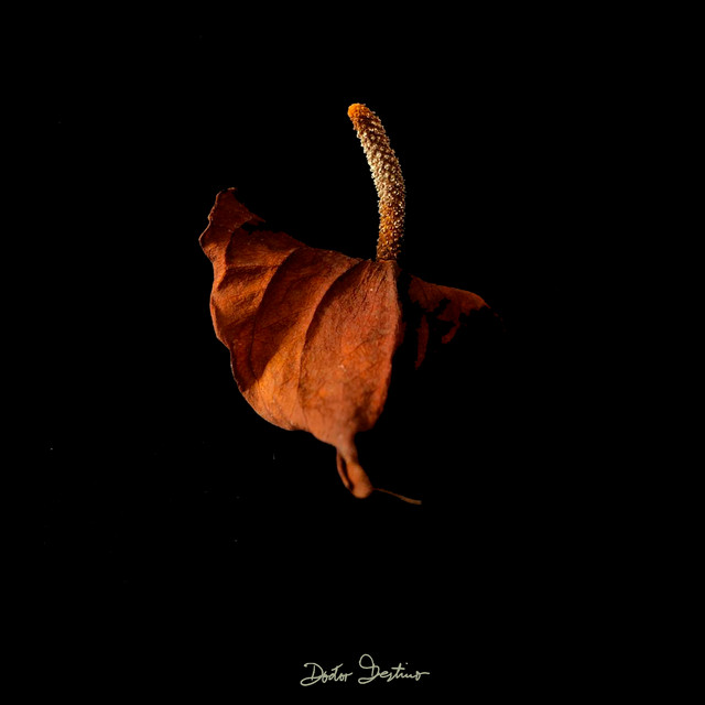 'Caos y Cielos' cover art