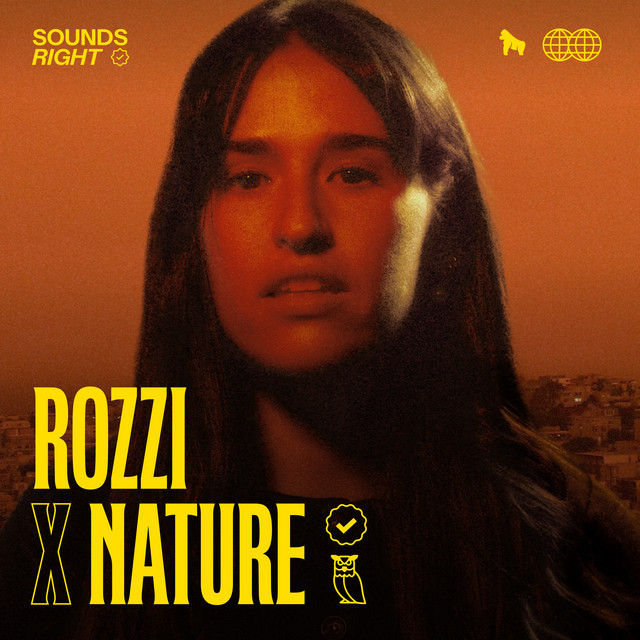 'Orange Skies - Chapter 2 (feat. NATURE)' cover art