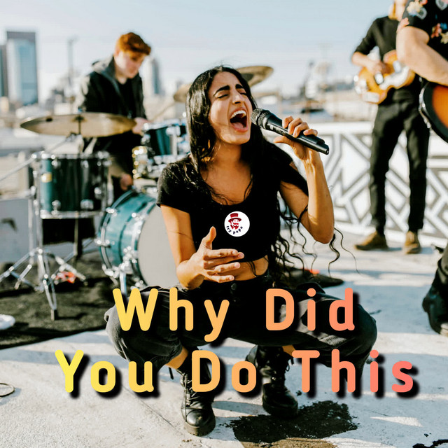 'Why Did You Do This ?' cover art