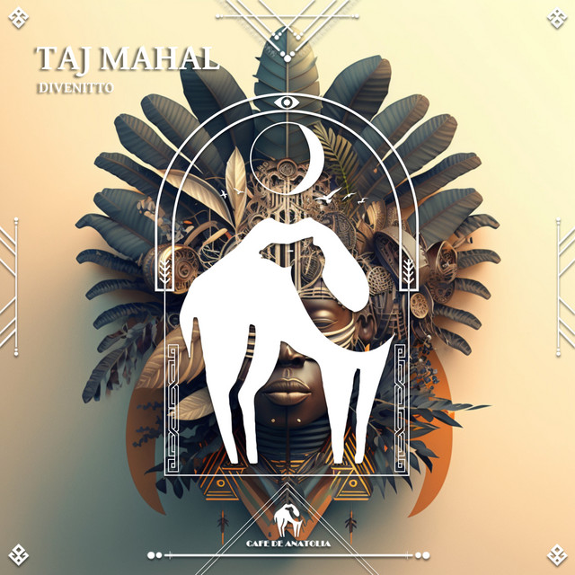 'Taj Mahal' cover art