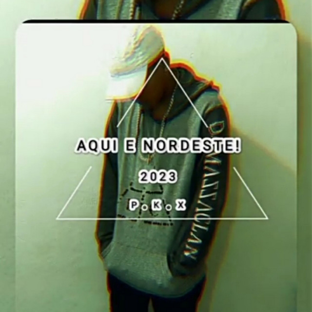 'AQUI E NORDESTE!!!' cover art
