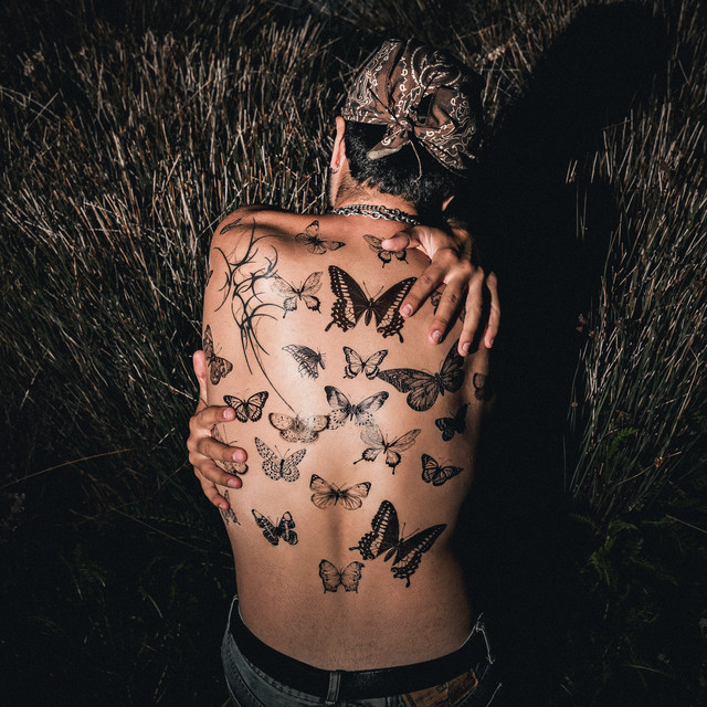 'KILLIN BUTTERFLIES' cover art