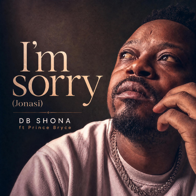 'I'm Sorry (Jonasi)' cover art