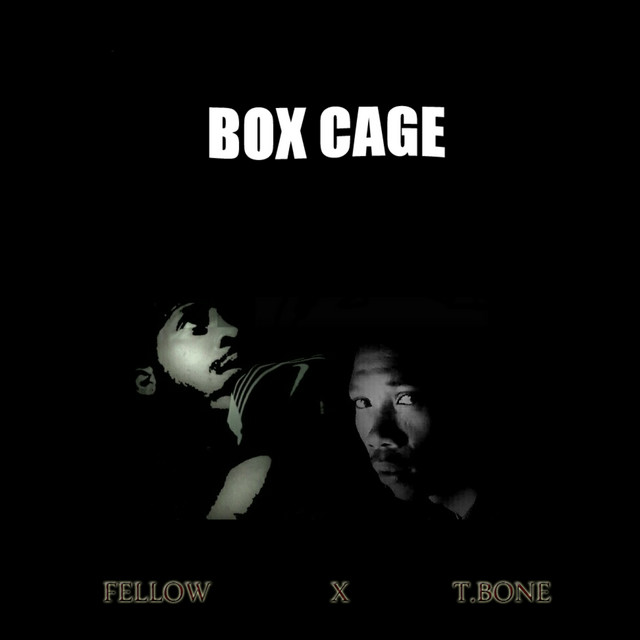 'BoxCage' cover art