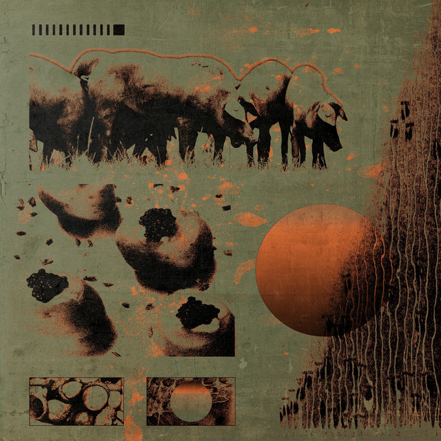 'acorndiet' cover art