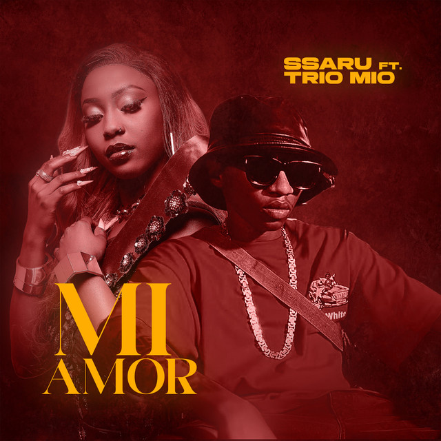 'Mi-Amor (feat. Trio Mio)' cover art