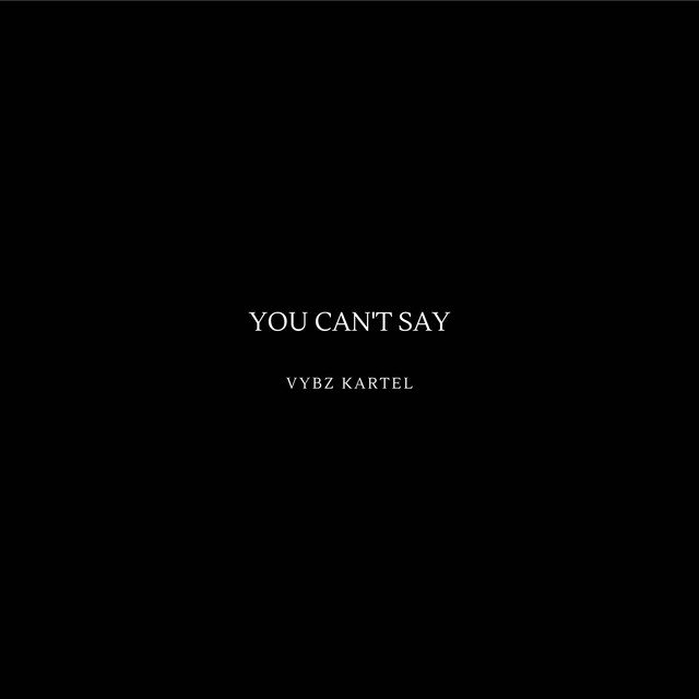 'You Can't Say' cover art