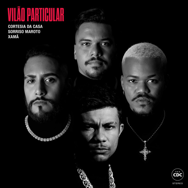 'Vilão Particular' cover art