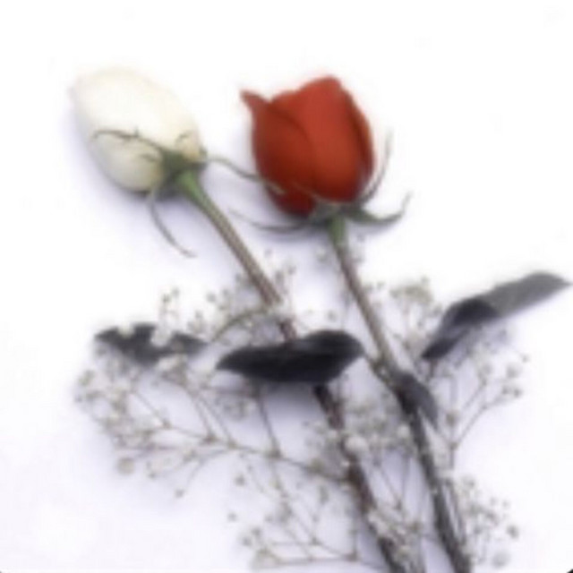 'Mémoire morte' cover art