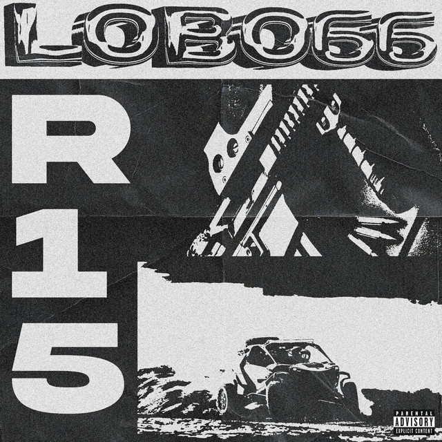 'R15' cover art