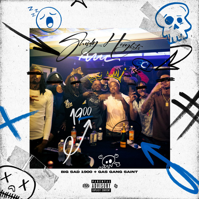 'Shady Heights' cover art