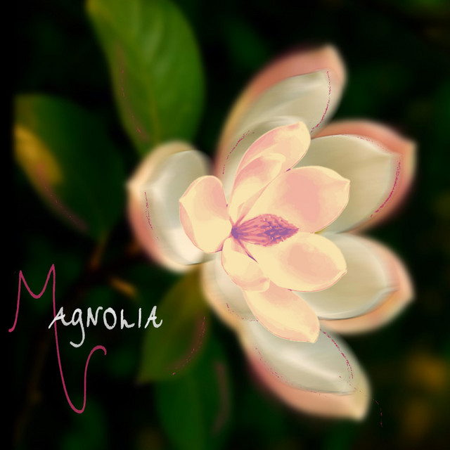 'magnolia.' cover art