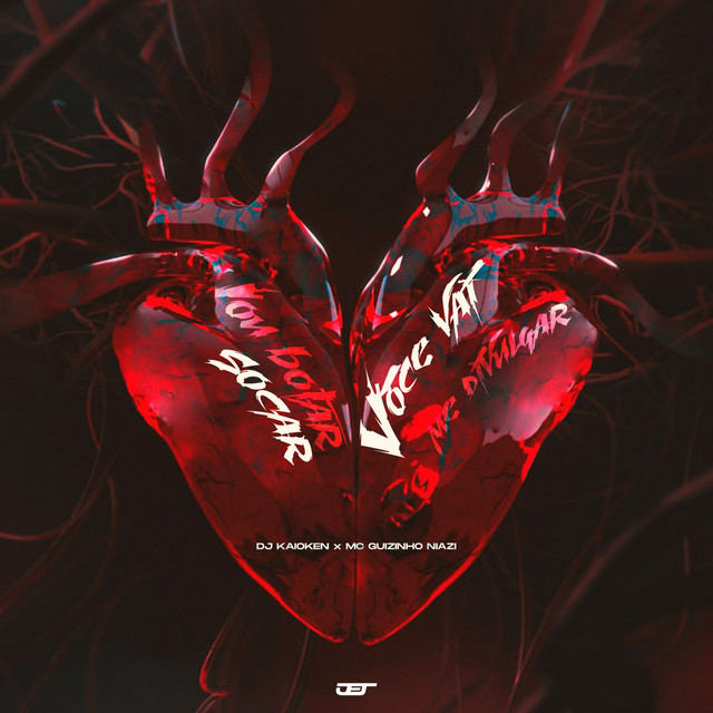 'Vou Botar Socar , Você Vai Me Divulgar' cover art