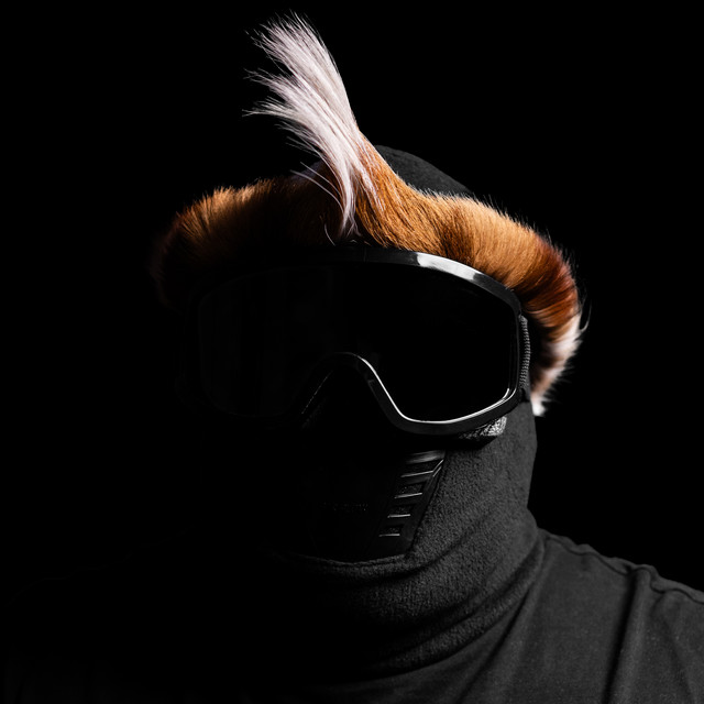 'eSamenteni' cover art