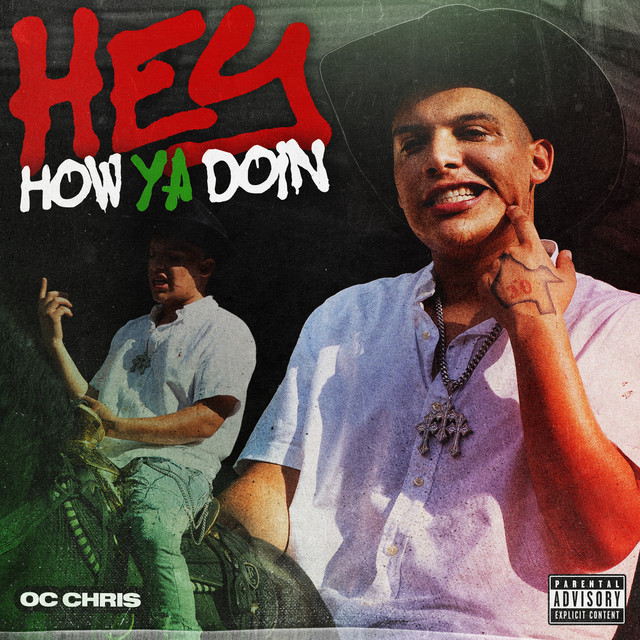 'Hey How Ya Doin (Swim Or Drown)' cover art