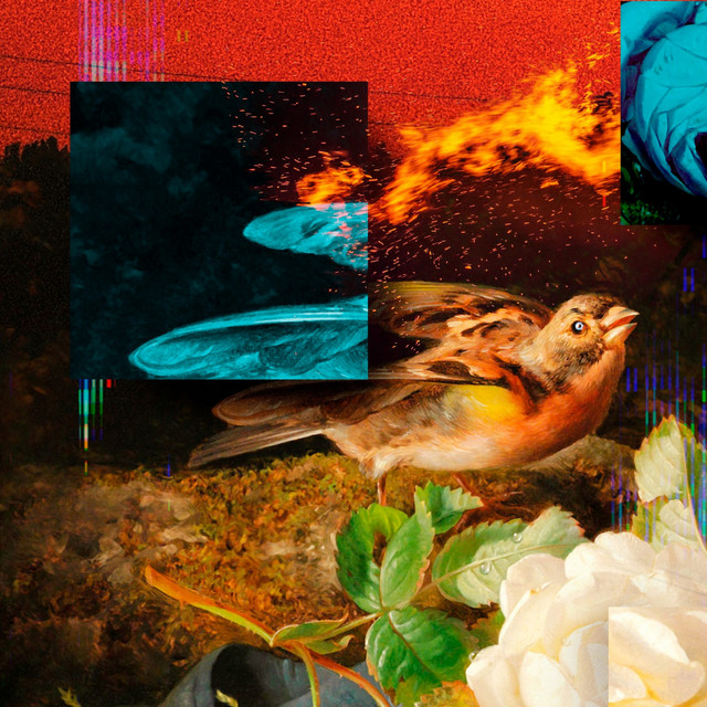 'Trigger Your Sense' cover art