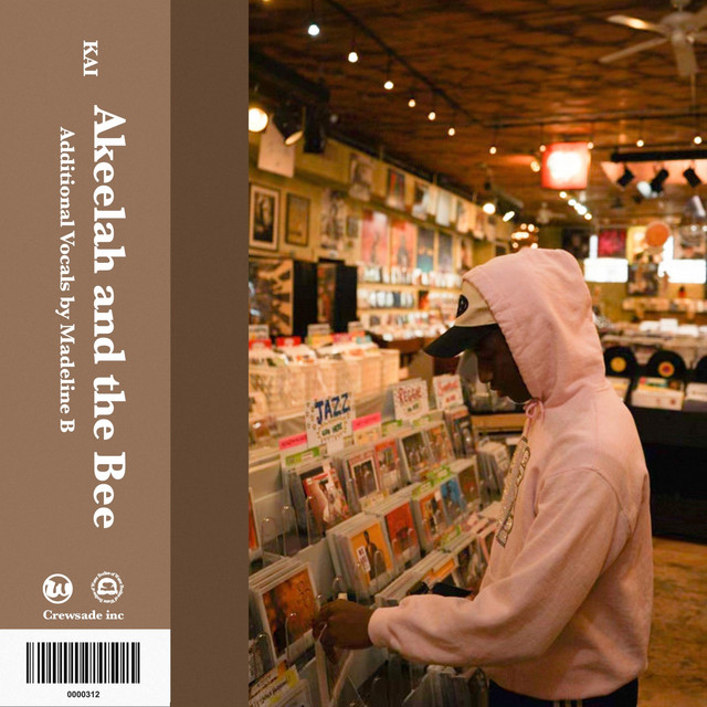 'Akeelah and the Bee' cover art
