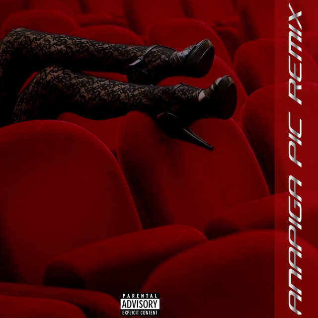 'ANAPIGA PIC (REMIX)' cover art
