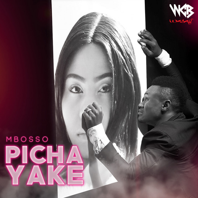 'Picha Yake' cover art