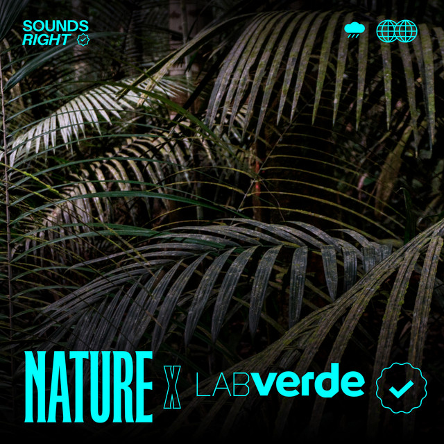 'The Hidden Sounds of Amazônia' cover art