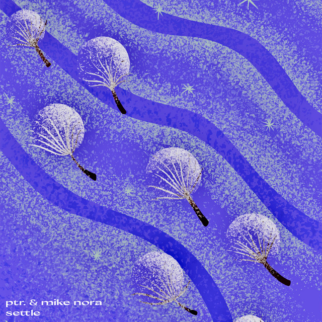 'Settle' cover art