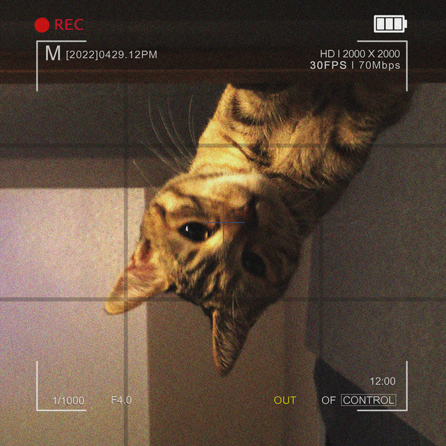 'Out Of Control Vol.1' cover art