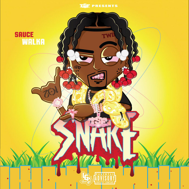 'Snake' cover art