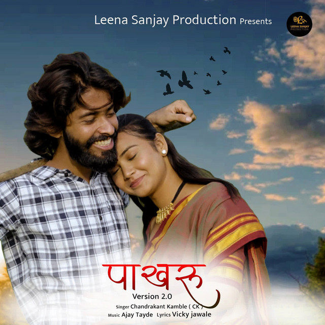 'Pakharu Version 2.0' cover art