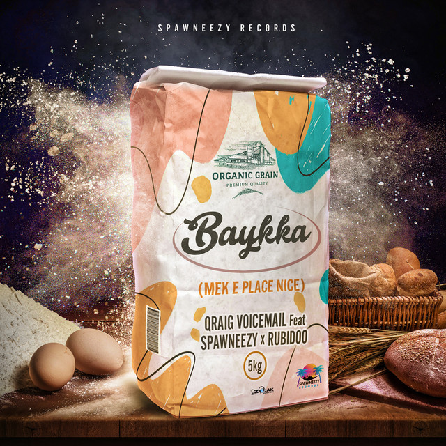 'Baykka (Mek E Place Nice)' cover art