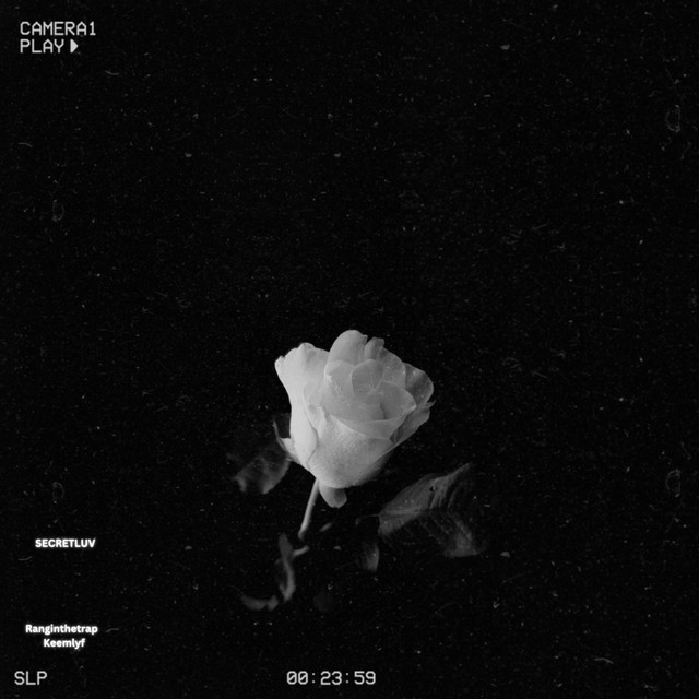 'Secretluv (Remix)' cover art