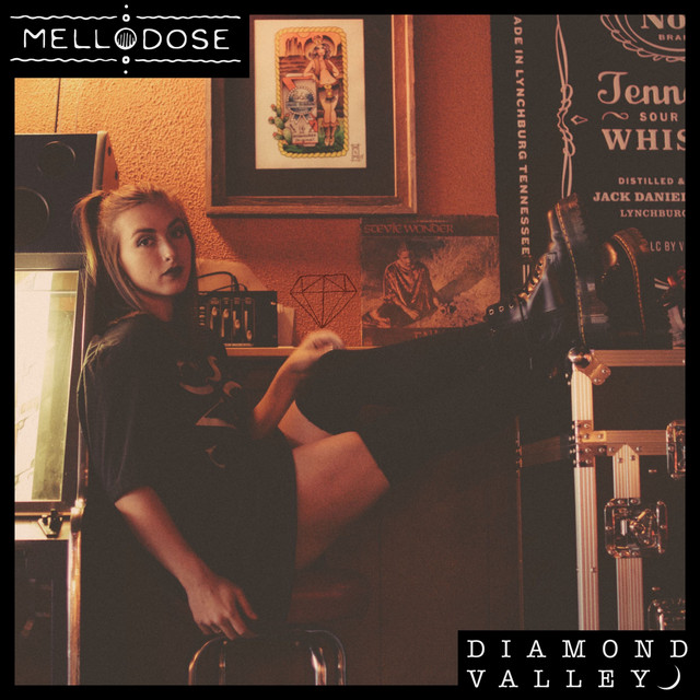 'DIAMOND VALLEY' cover art