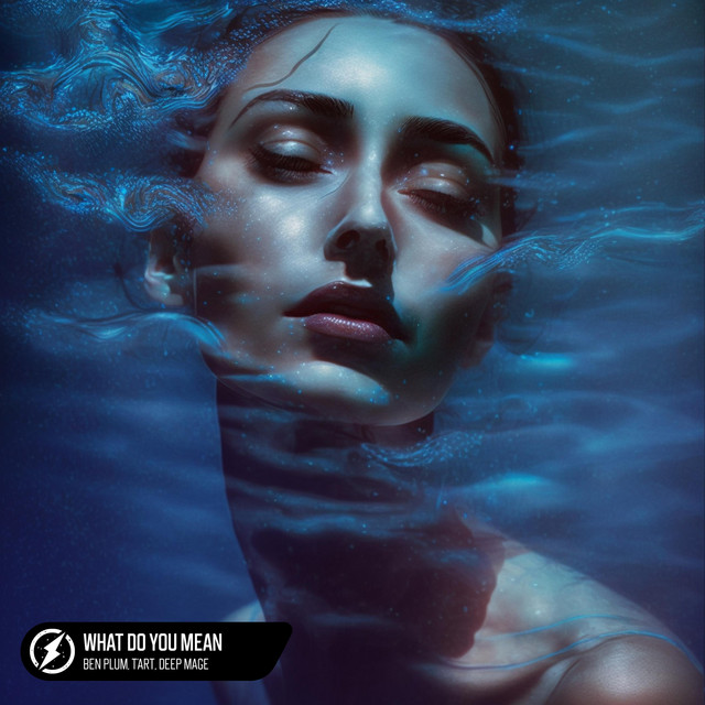 'What Do You Mean' cover art