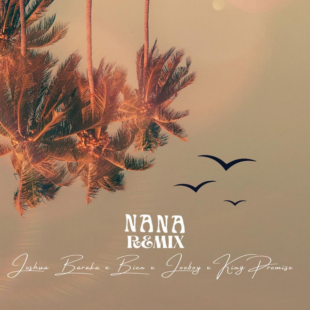 'NANA (feat. Joeboy, King Promise & BIEN) [Remix]' cover art