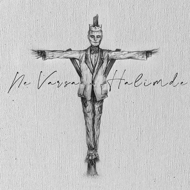 'Ne Varsa Halimde (Canlı Akustik)' cover art