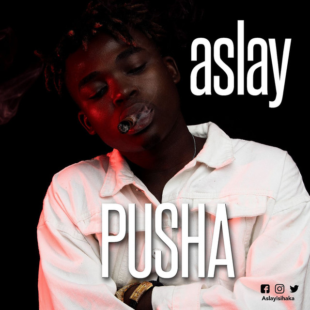 'Pusha' cover art