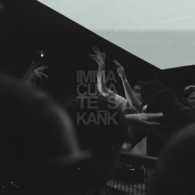 'IMMACULATE SKANK' cover art