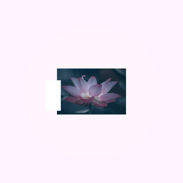 'pink' cover art