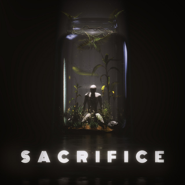 'Sacrifice (ST Mix)' cover art