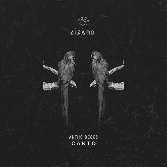 'Canto (Radio Edit)' cover art